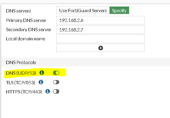 Important-FGT-DNS.png